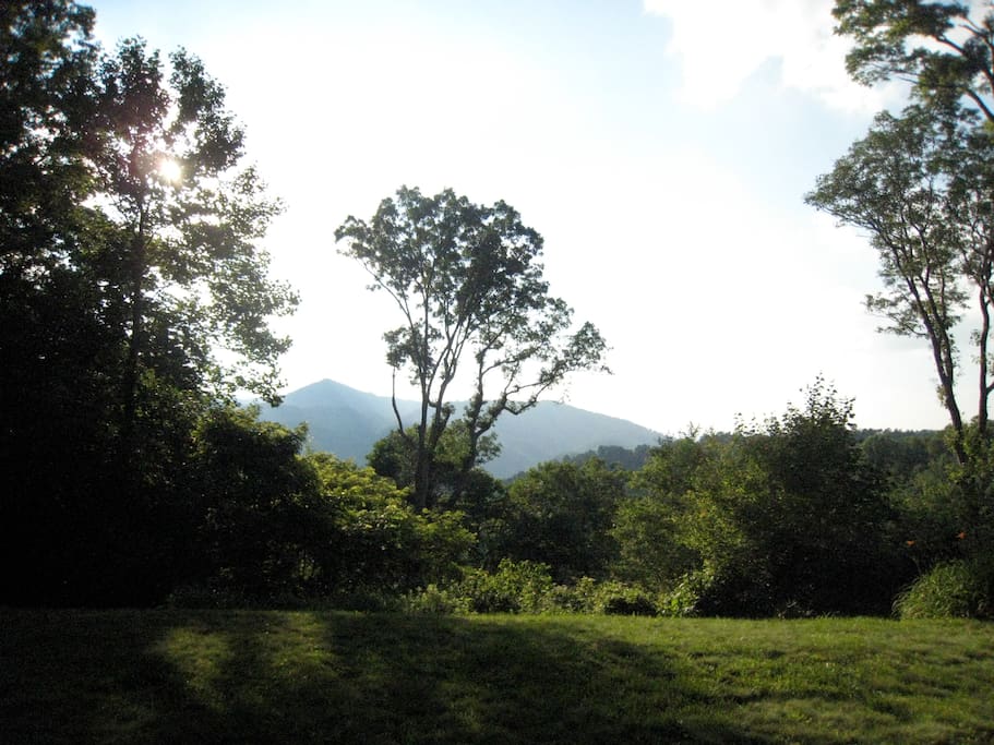 Our gorgeous view