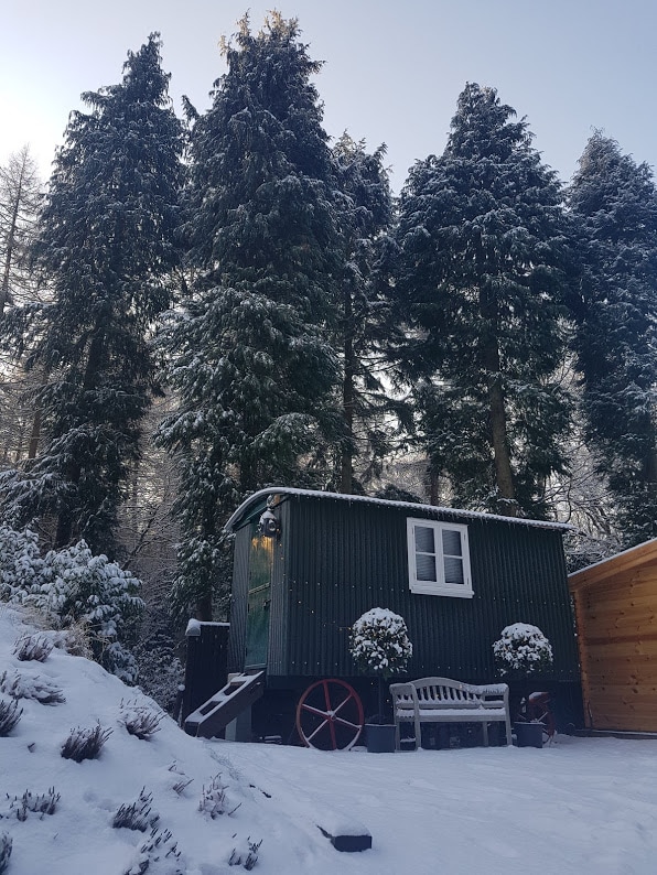 A shepherd's hut stands nestled among tall pine trees, lightly coated in snow. The structure features a small staircase leading to a green door and a window framed by snow, while a wooden bench is positioned nearby on a snowy path.