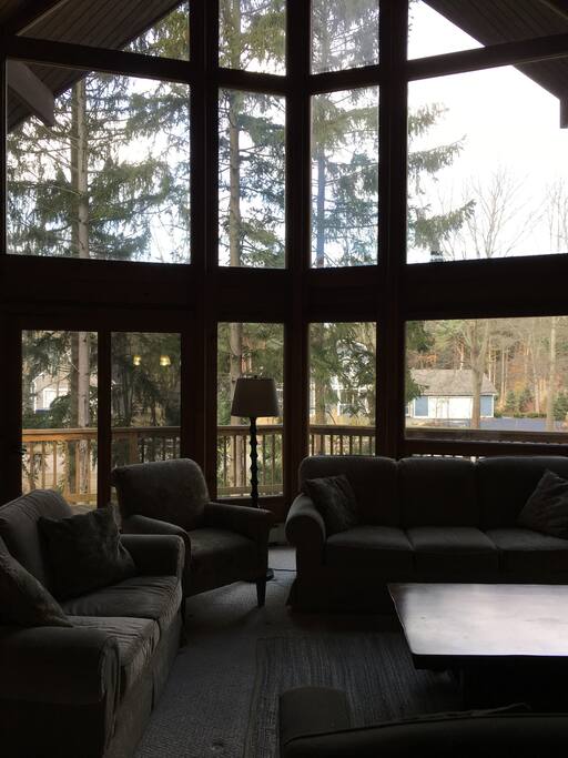 Main living room windows