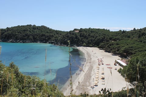 Successful Airbnb property: blue house by the sea in Campo Nell'elba