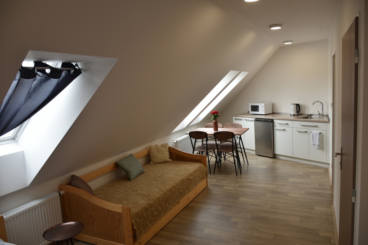 An airy room features slanted ceilings with two skylights that allow natural light to filter in. A wooden daybed provides seating, while a round dining table with four chairs is positioned nearby. A kitchenette with modern appliances, including a microwave and refrigerator, is also visible.