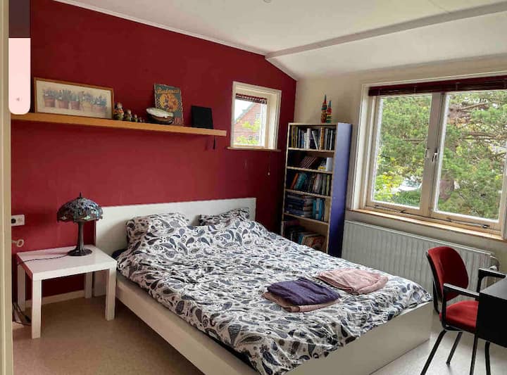 Sitio del jardín trasero de la habitación