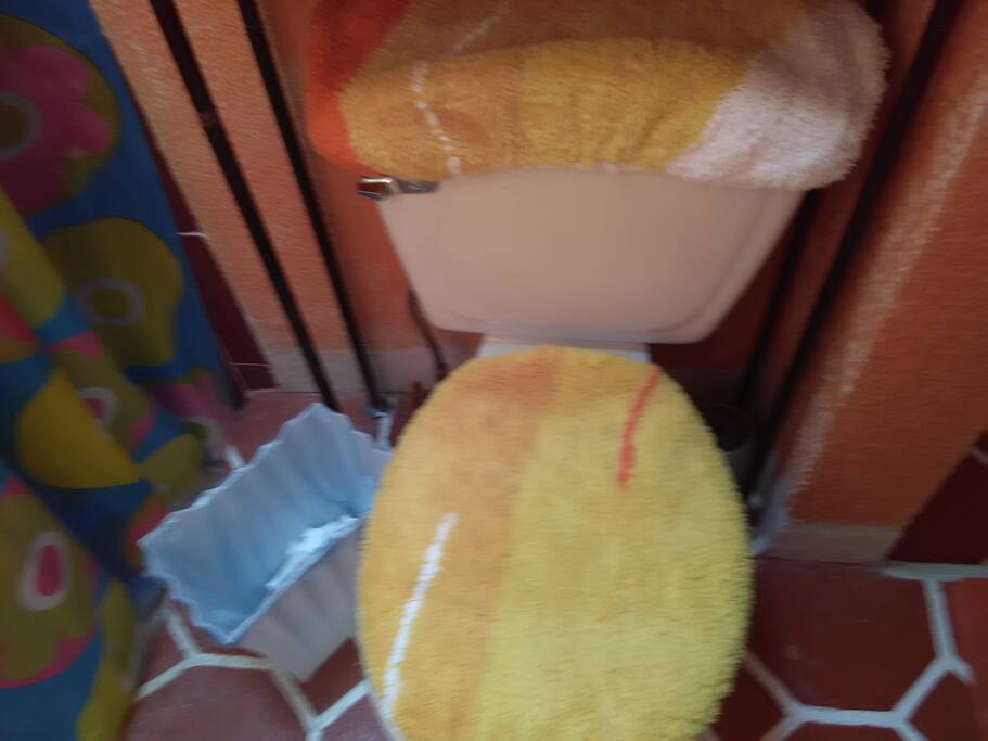 Sanitario y muebla para artículos de baño (toallas,papel sanitario)
