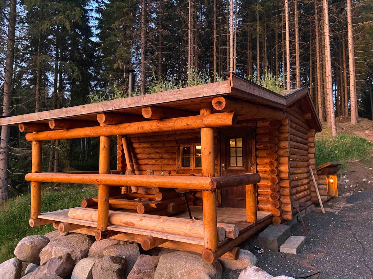 The cabin, constructed with natural logs, is surrounded by tall trees. A wooden deck, supported by thick logs, features a picnic table and chairs. A stone pathway leads to the entrance, while a green grass roof enhances the rustic charm.