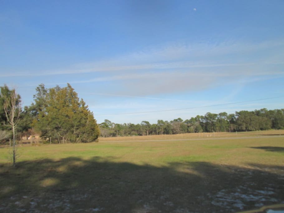 Rural Views