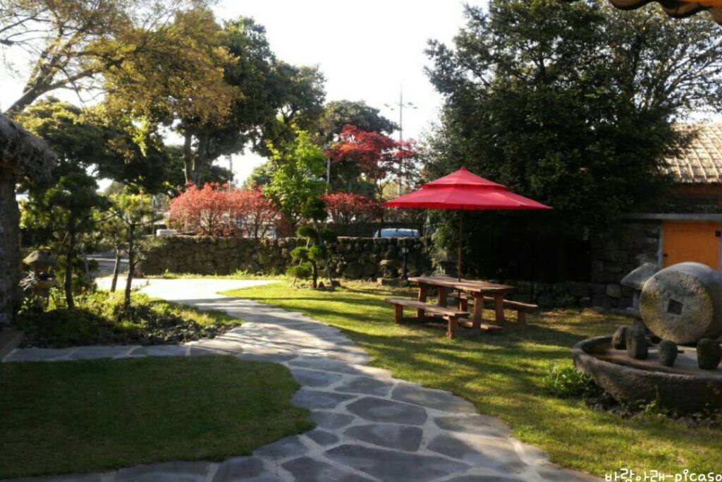 Garden