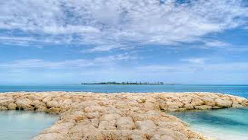 NEW LISTING! STARFISH #4 at Legacy West