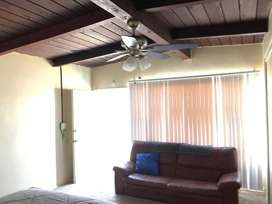 Couch and front door, lots of natural light.