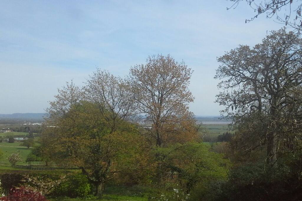 The view from the flat