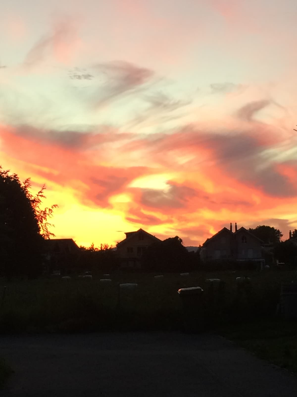 A vibrant sunset is captured, with shades of orange, pink, and purple swirling across the sky. Silhouetted houses and trees are visible against the colorful backdrop, creating a serene evening scene.