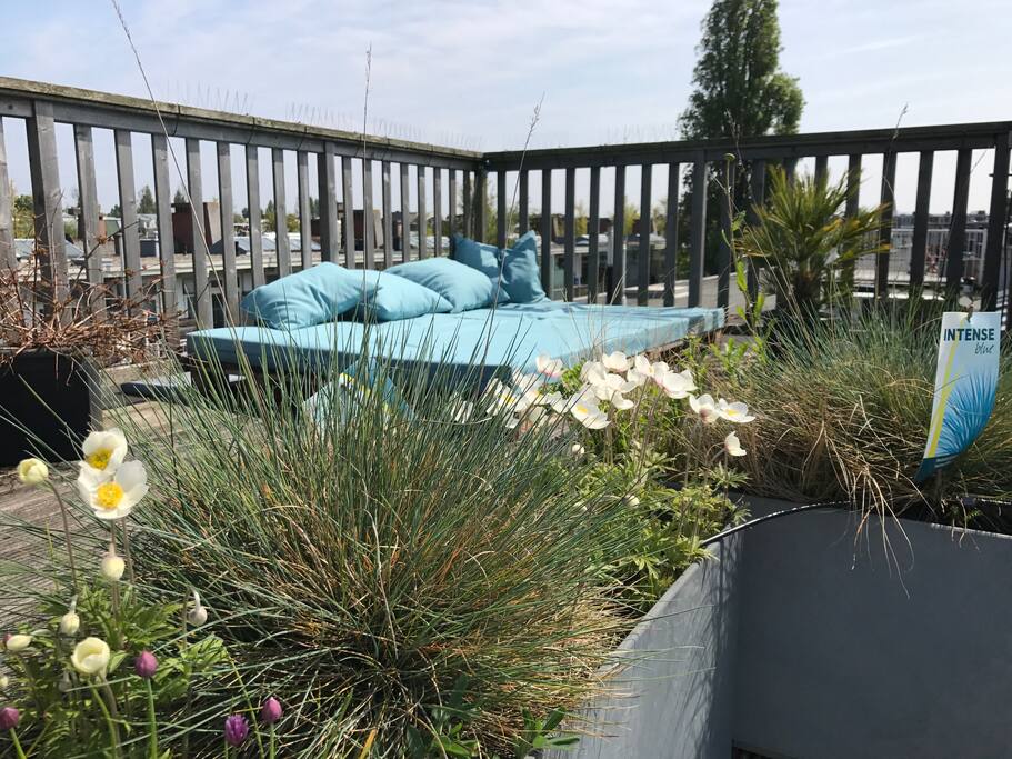 Rooftop terrace