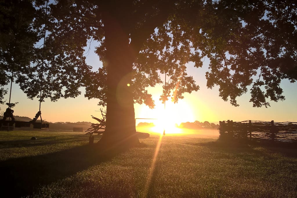 Zonsopkomst, natuur, boomschommel, landelijk.