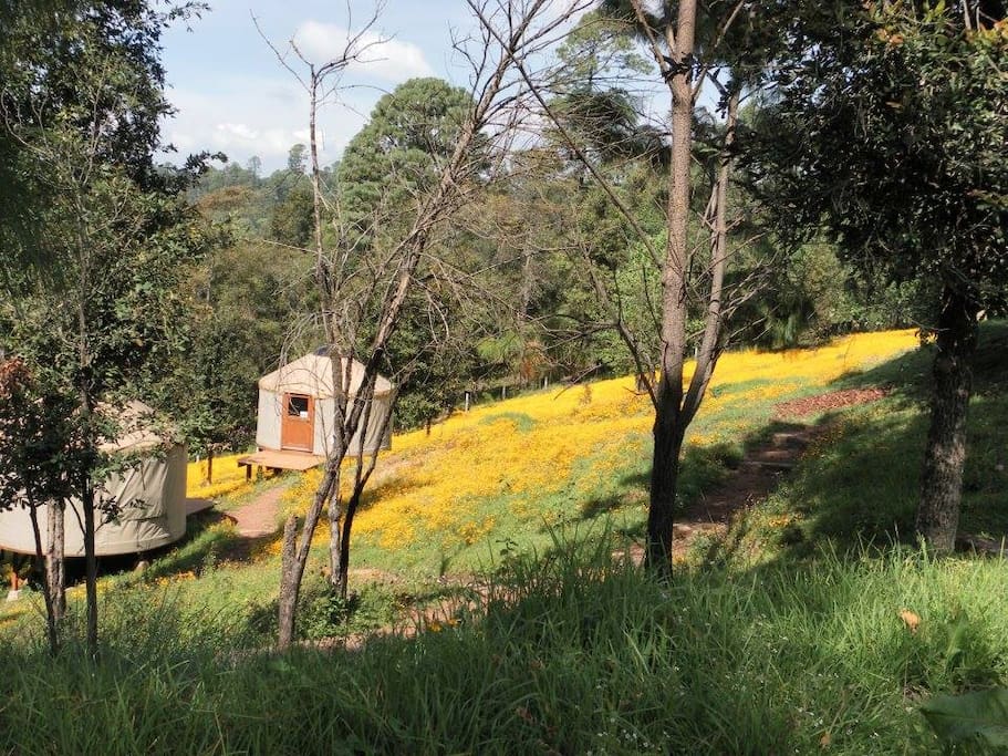 Tenemos un hermoso espacio abierto. / We have beautiful open spaces.