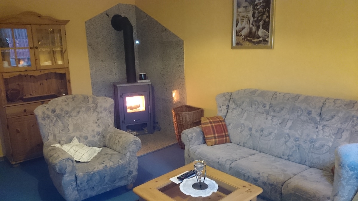 A cozy living area is featured, showcasing a comfortable sofa and an armchair with soft upholstery. A wooden coffee table is positioned in front of the seating. A wood-burning stove is set within a stone wall, providing warmth, while a cabinet with glass doors is visible in the background.