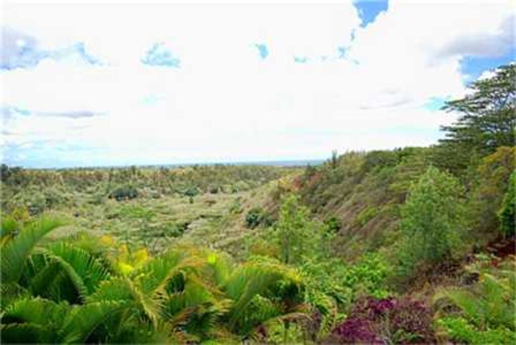 View from Master Bedroom