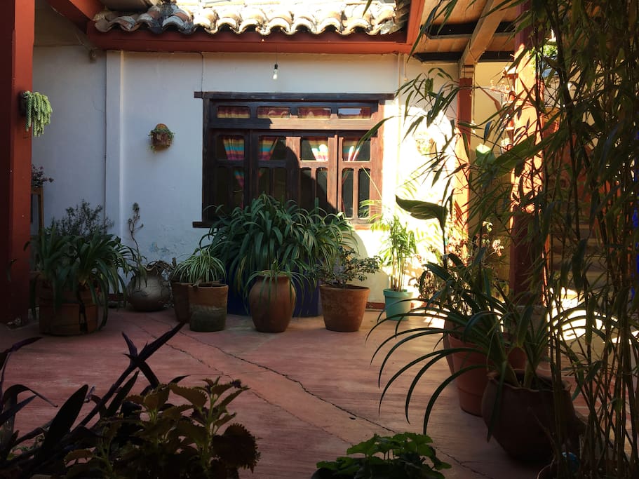 Vista del patio