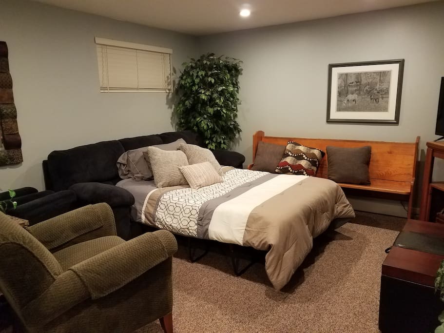 Family Room w/ pull out Queen