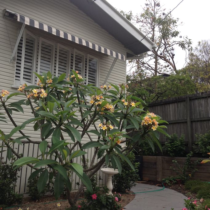 Rooms For Rent Paddington Brisbane Rooms For Rent Paddington Brisbane