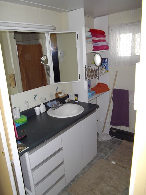 Salle de bain/Bathroom