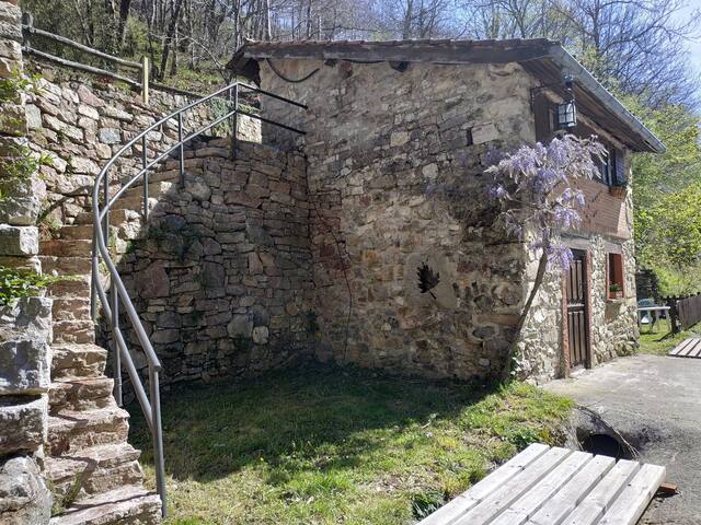 Casa rural asturiana con chimenea