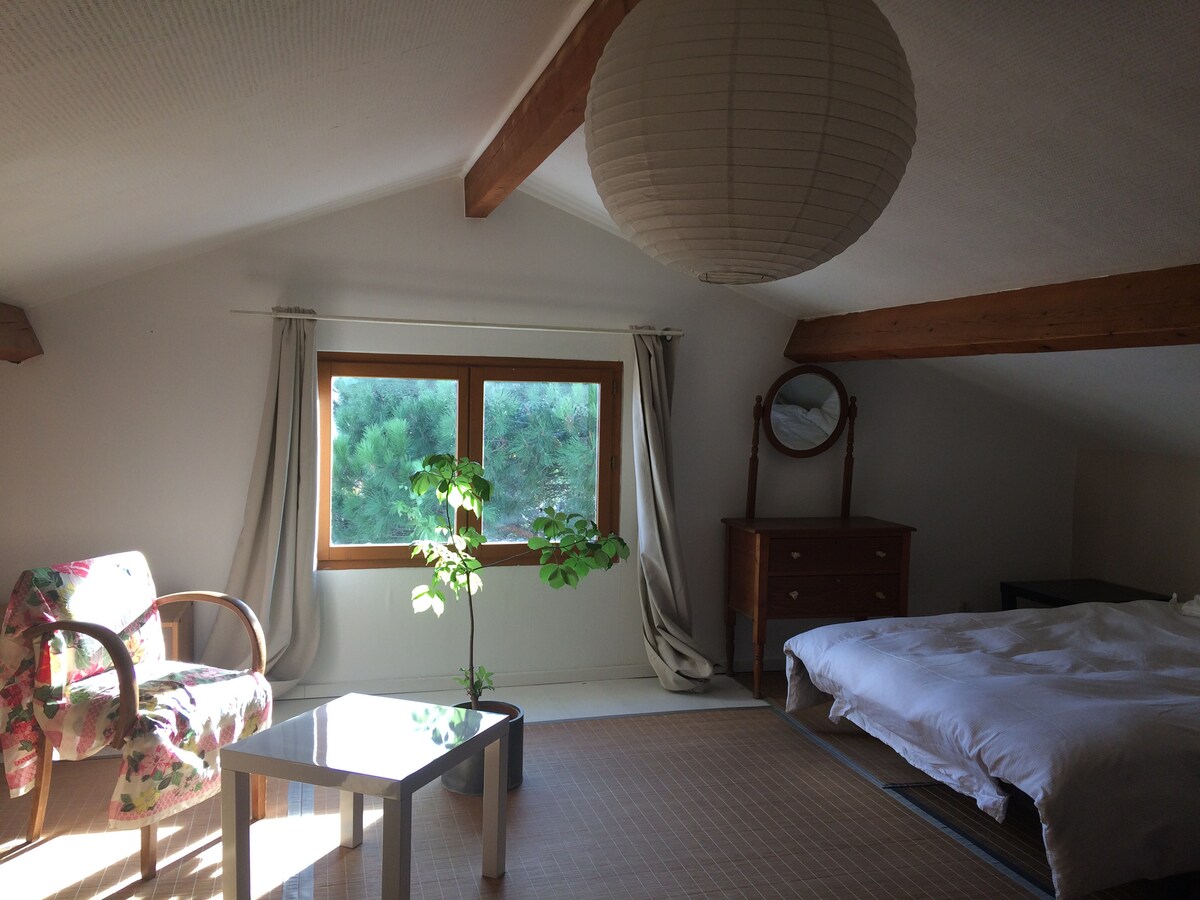 დიდი ოთახი მაღლა