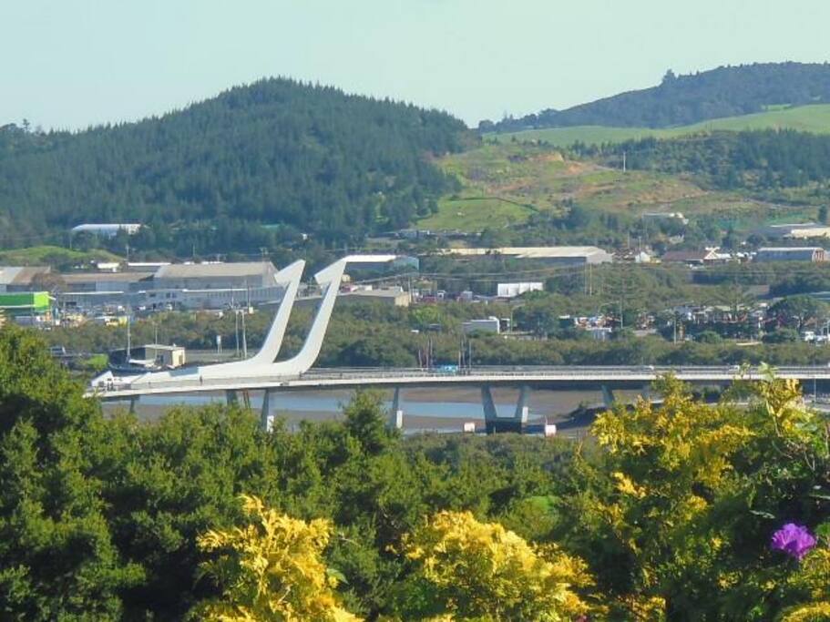 View from deck