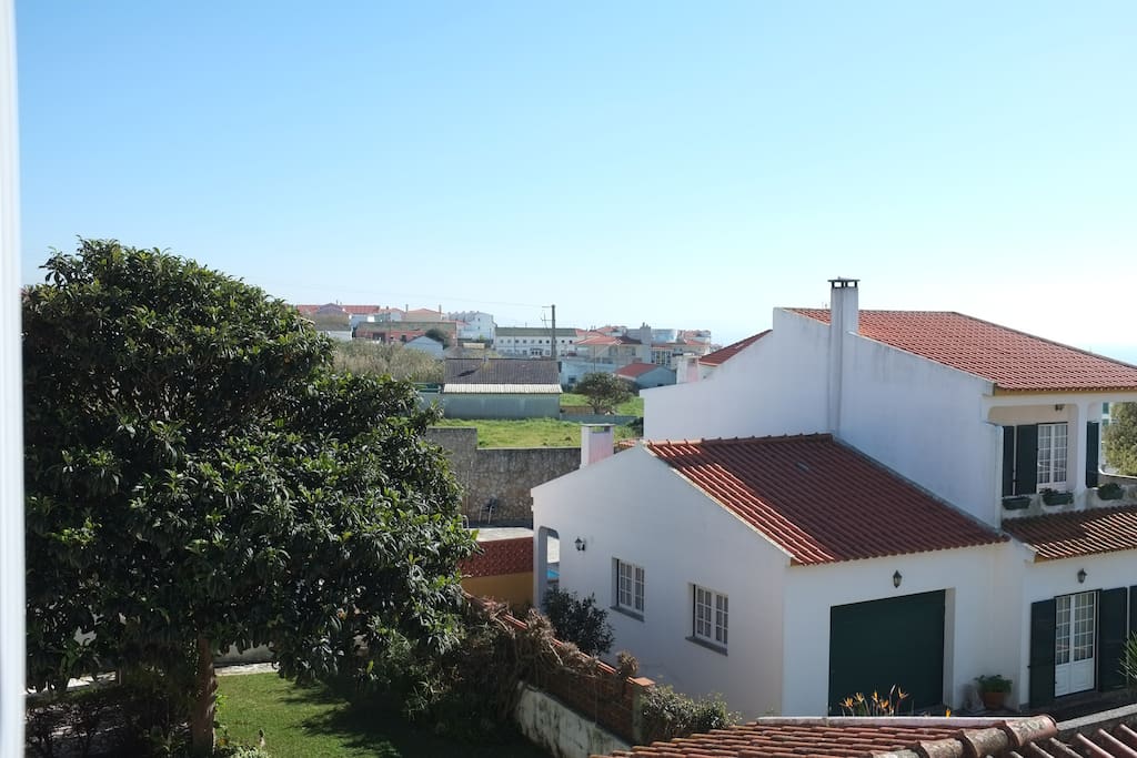 view from the balcony (back)