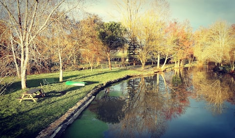Gîte Moulin de Lausseignan  in bucolic setting