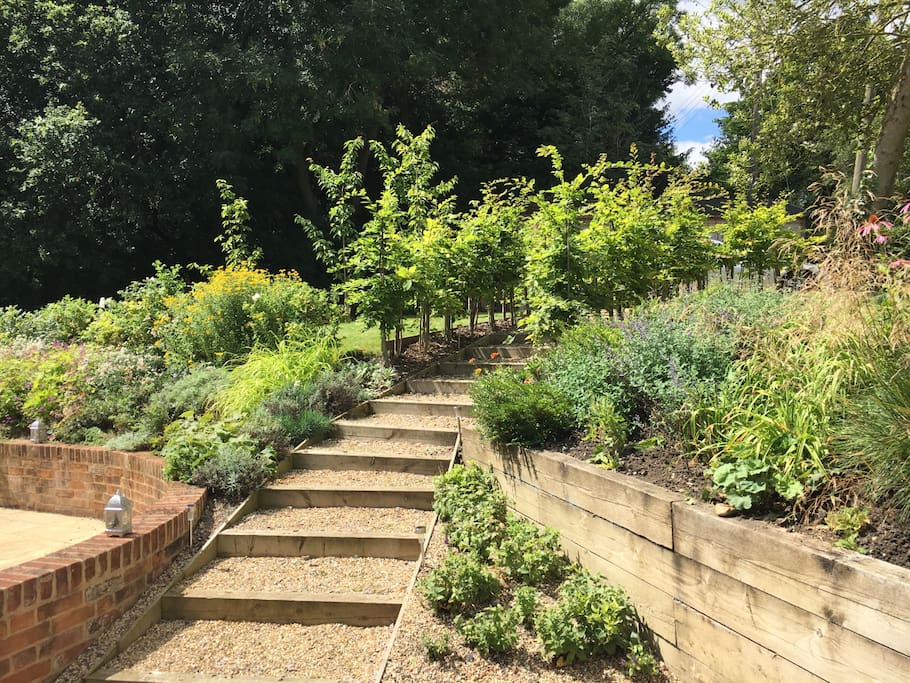 Landscaped garden