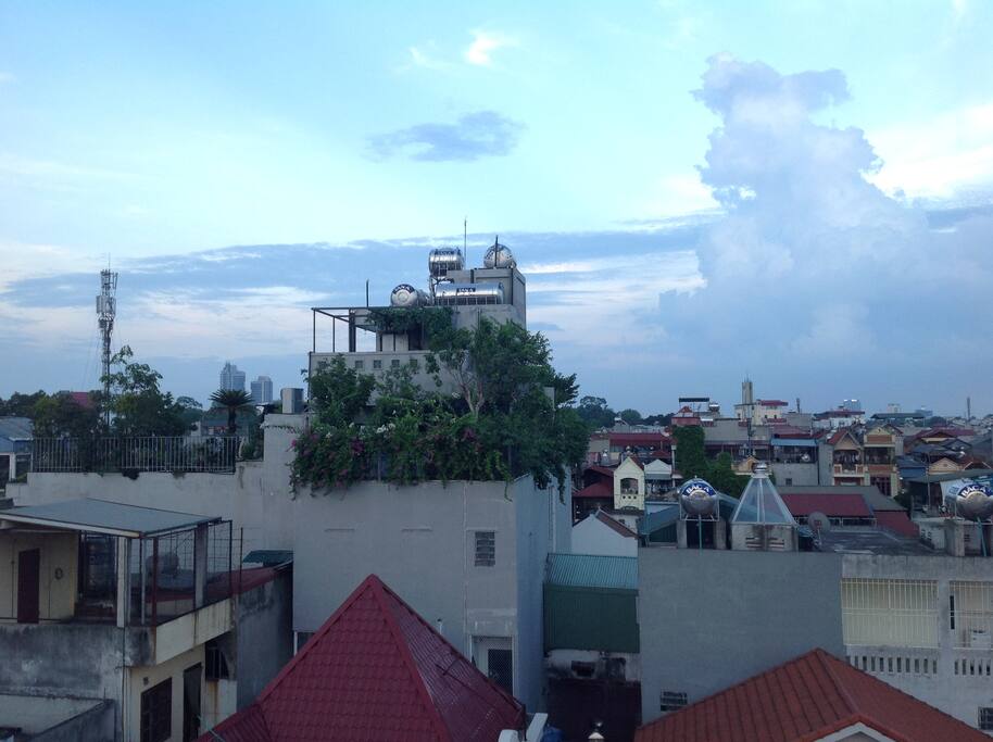 View from rooftop