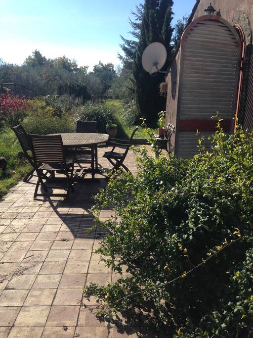 particolare del giardino