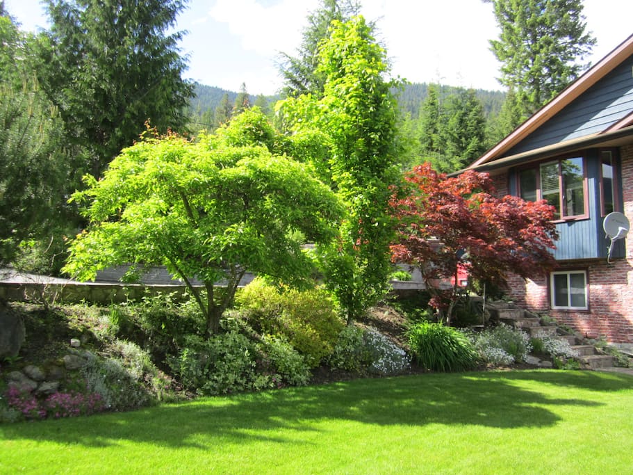 Front Yard -spring
