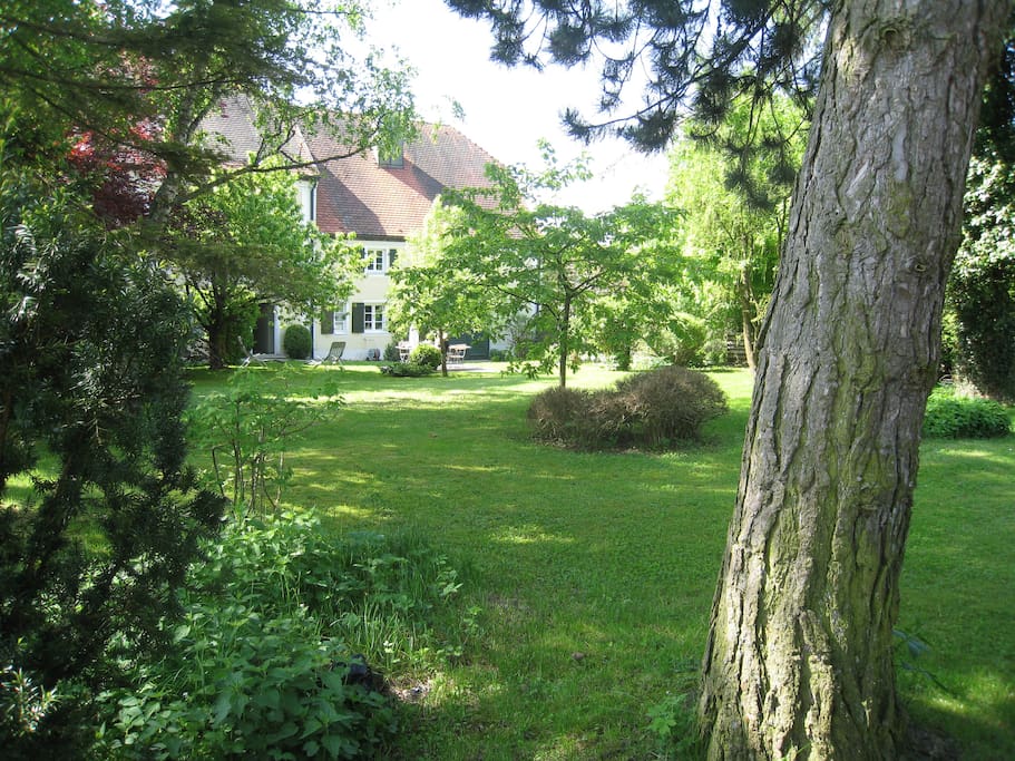 Entspannung im Garten