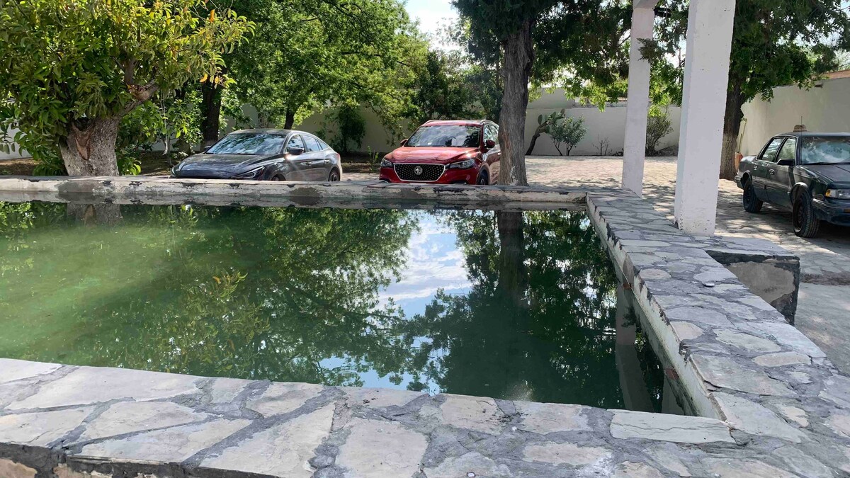 A rectangular stone water feature is shown, reflecting the surrounding greenery and sky. Several cars are parked nearby, with trees providing shade in the background. The water is fresh and potable, surrounded by a stone border, showcasing a natural and serene setting.