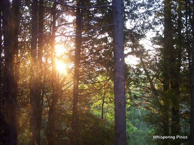 Beach House Whispering Pines Door Co Lake View Houses For Rent