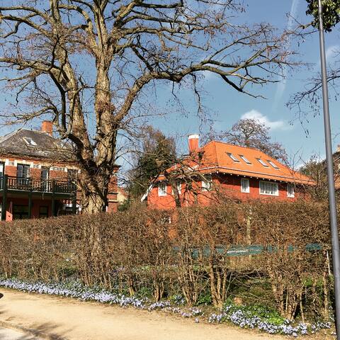 Large house with garden in central Copenhagen gallery image 3