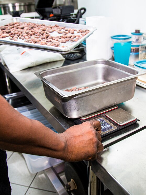 Show full-screen, host-provided image