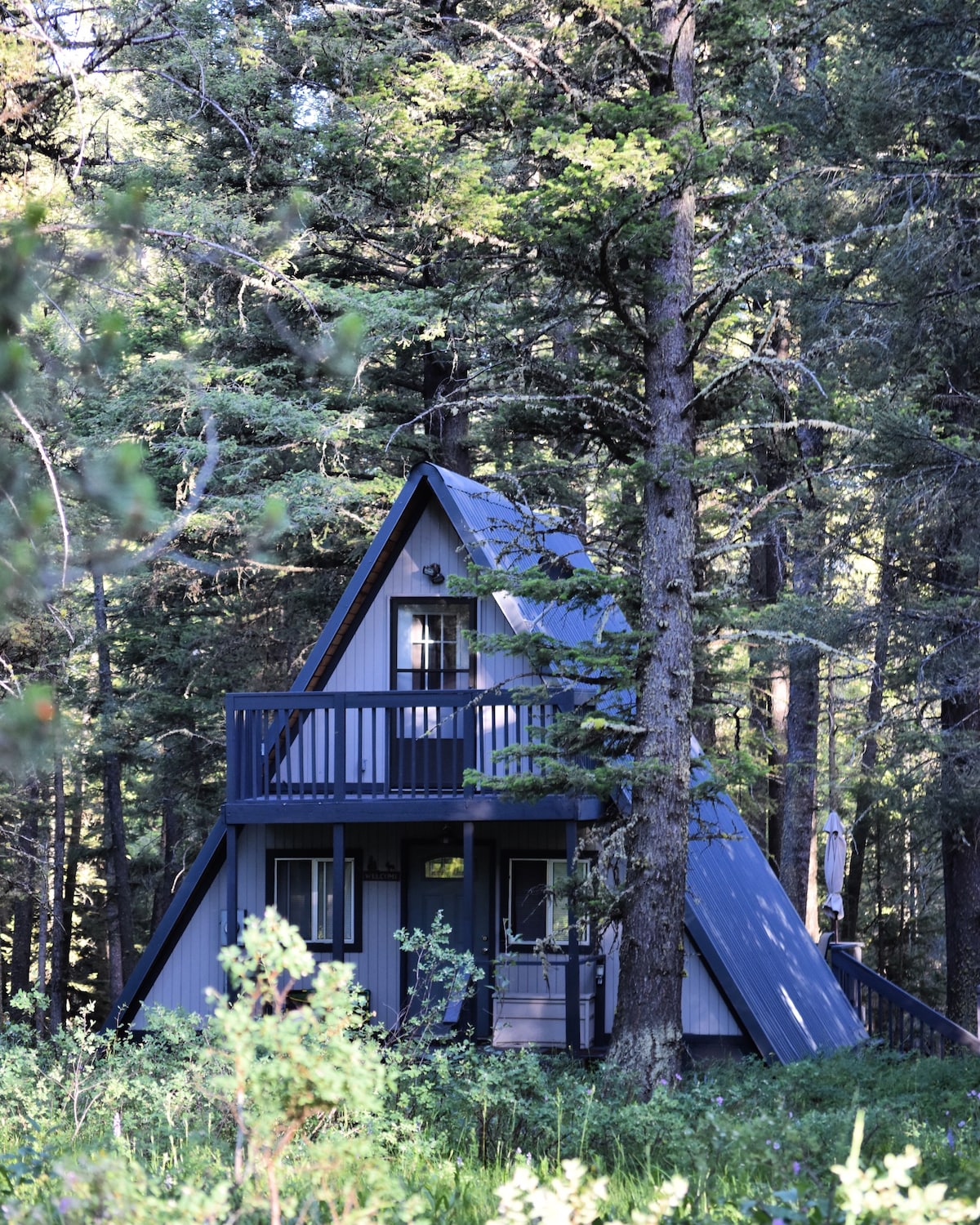 The cabin features a classic A-frame design, nestled among tall trees. The exterior showcases a front porch and paneled windows, surrounded by a natural landscape of greenery and wildflowers, creating a serene and secluded atmosphere.