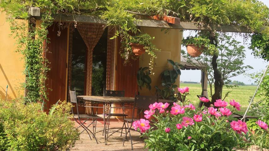 The wisteria house