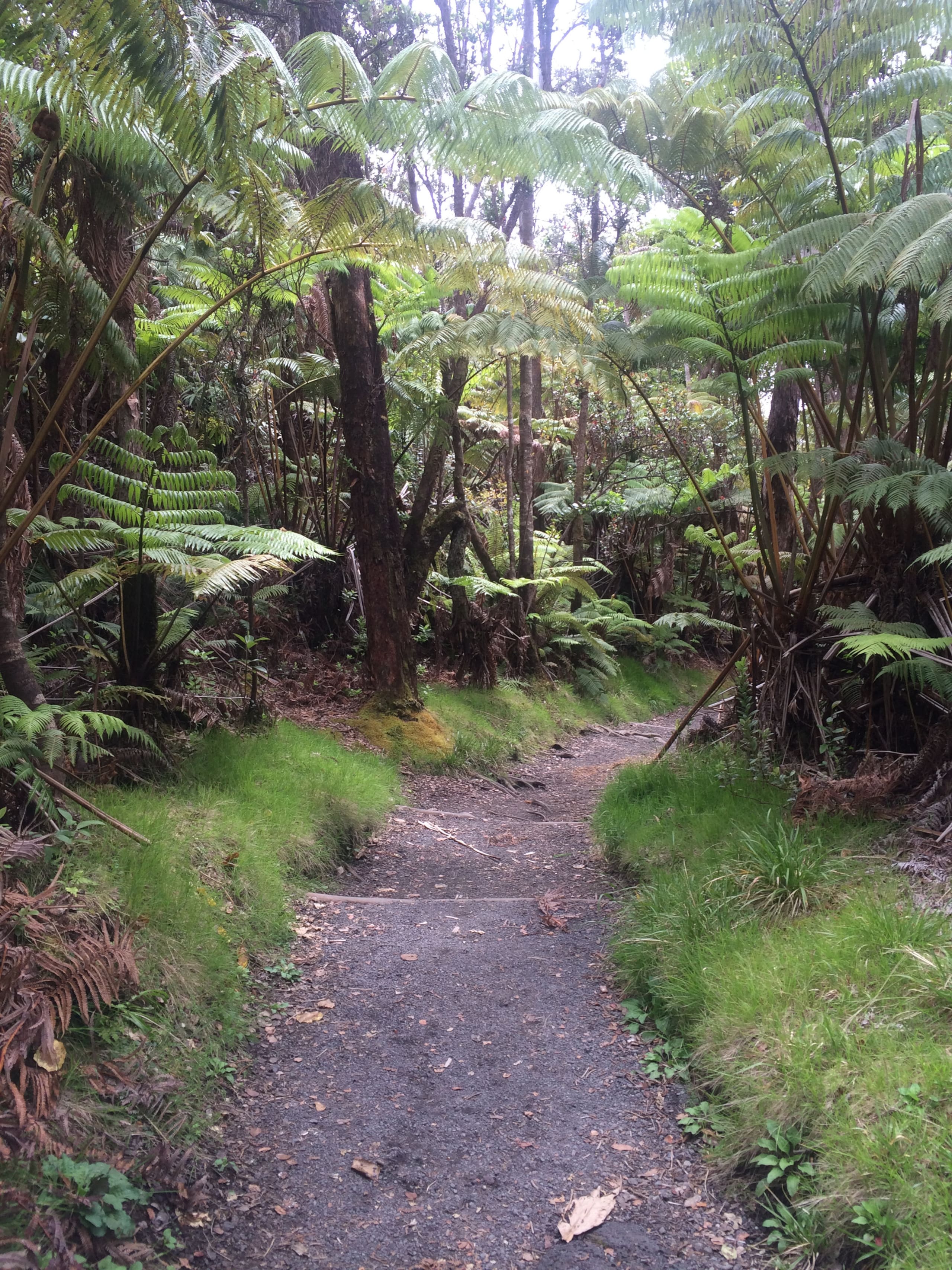 Explorer's Bungalow - Explore Volcanoes NP! - Photo 42