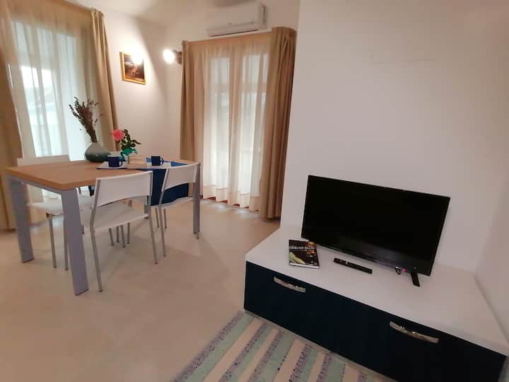 تلفزيون بشاشة أطباق.