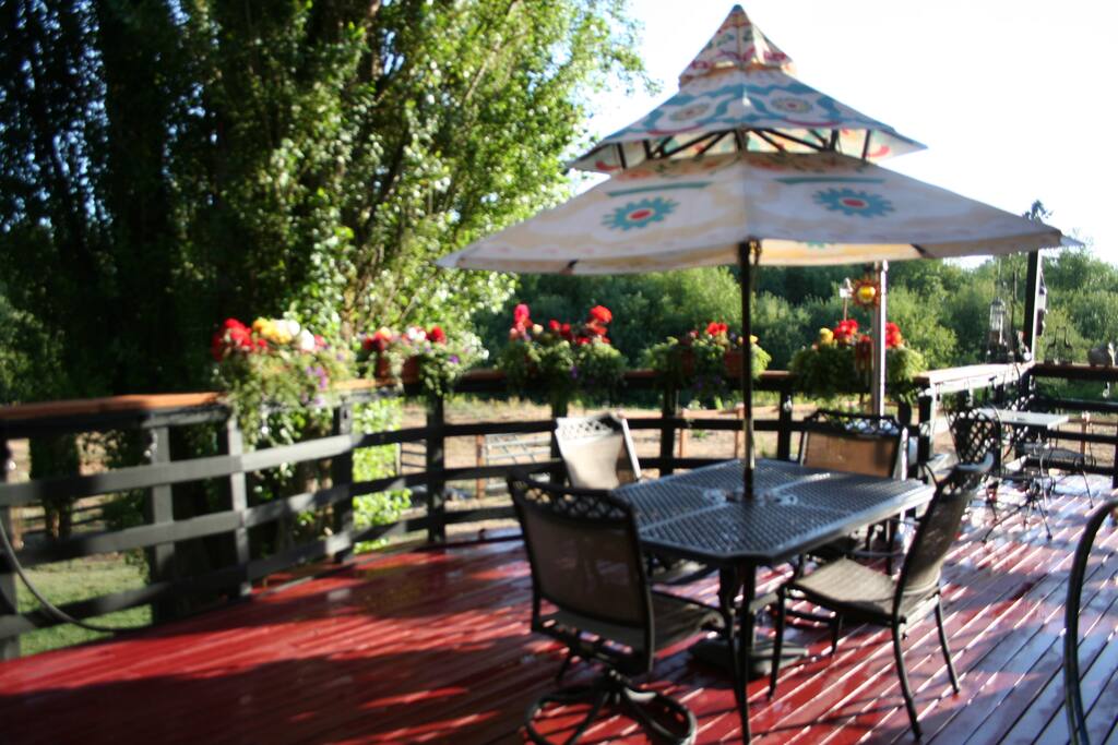 Main balcony overlooking pasture and creek