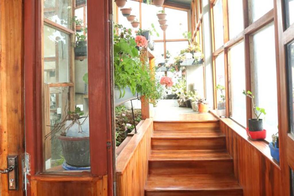 Flower Room