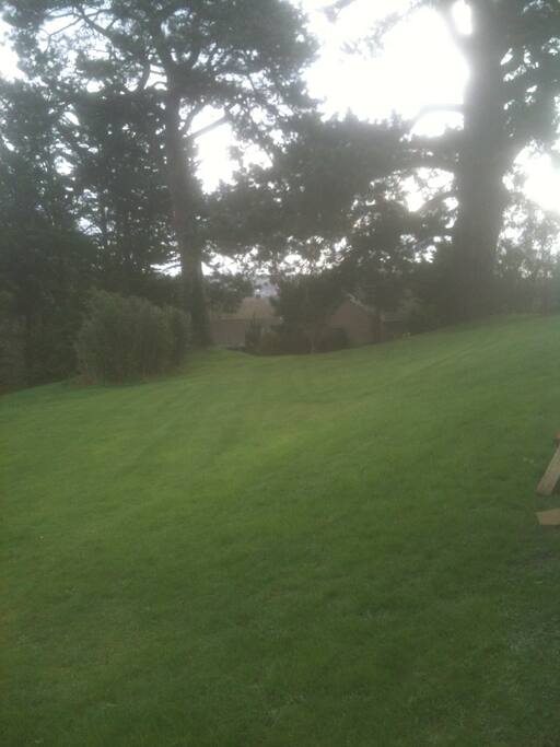 BIG GRASSY HILL PLAY AREA FOR KIDS OR SUN BATHING