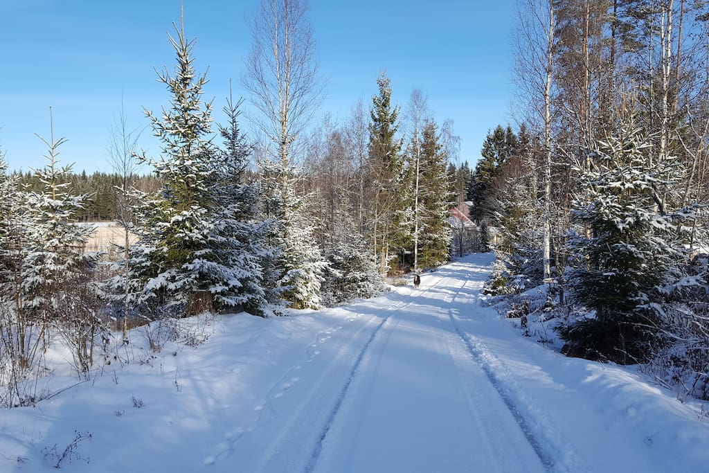 Luonnon rauhaa ja hyvät mahdollisuudet ulkoiluun