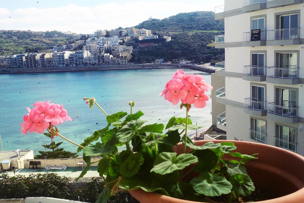 view from the front balcony
