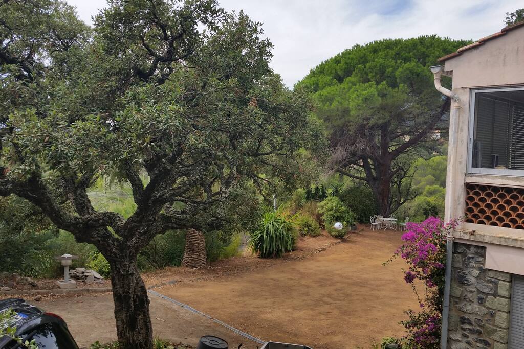 Garten vor der Wohnung II