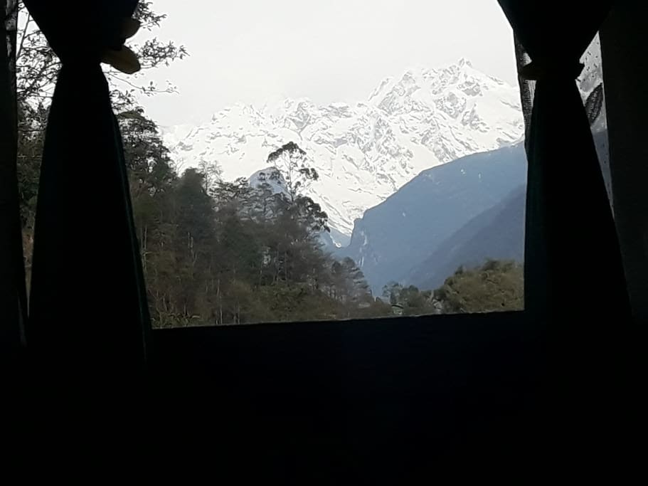 View from window