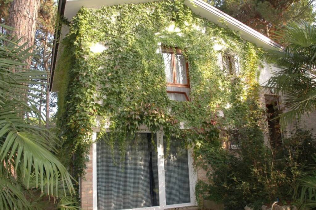 esterno | exterior
