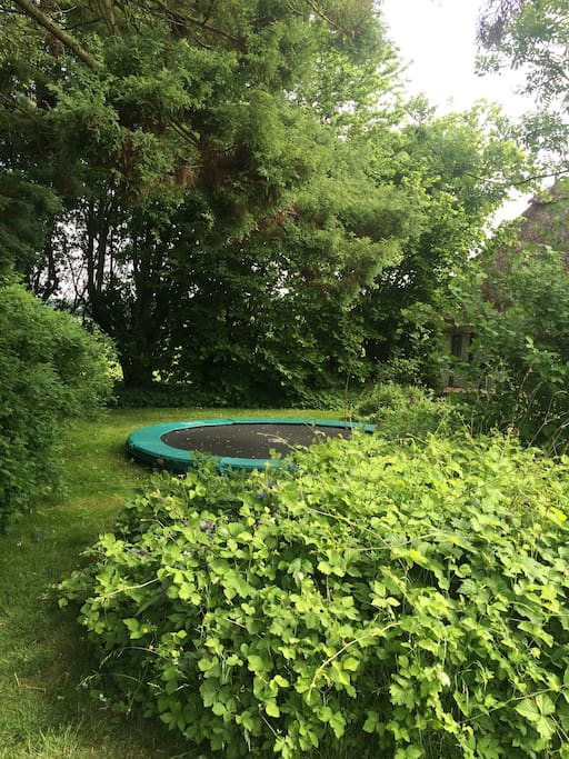 Den nedgravede trampolin